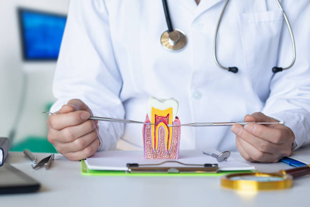 Best Weekend Emergency Dentist in Melville, NY